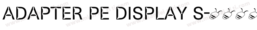 Adapter PE Display S字体转换